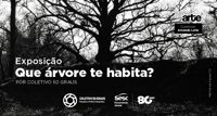 img_noticia